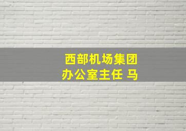 西部机场集团办公室主任 马